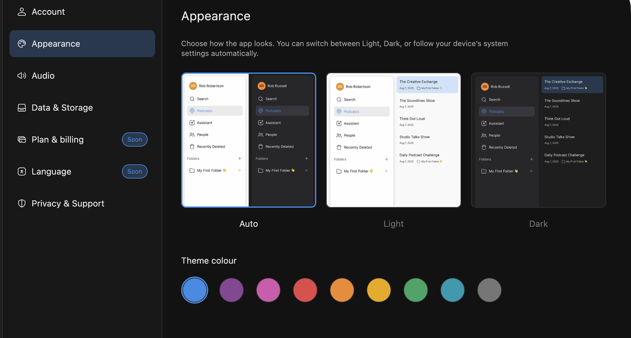 The Appearance settings page with the Auto card selected and the row of nine theme colour swatches below it