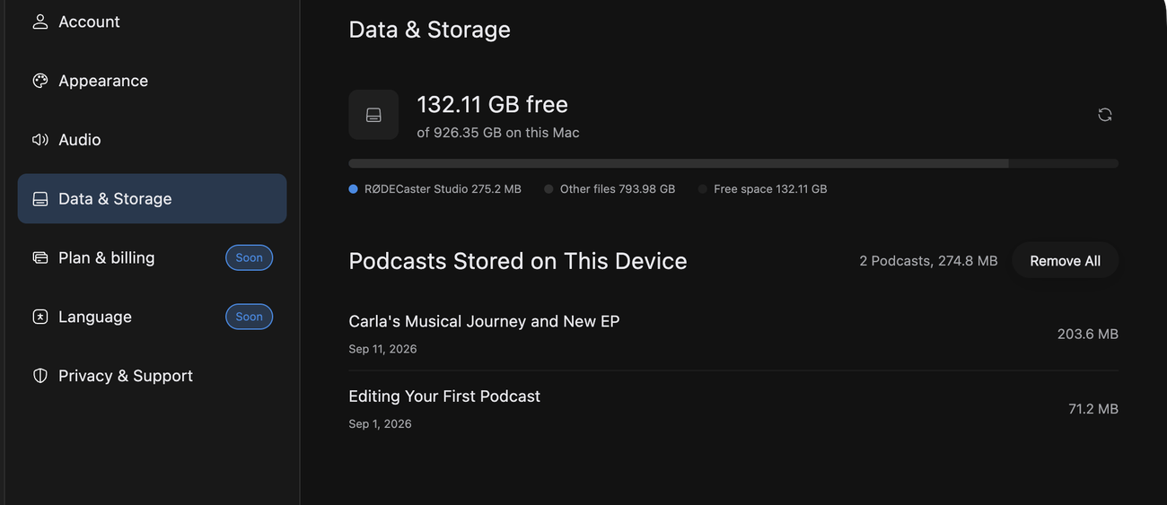 The Data and Storage page with the free space figure, the capacity bar and legend, and the list of podcasts stored on this device